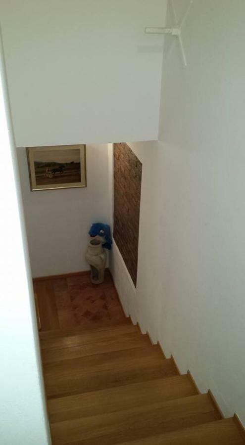 Bed and Breakfast Il Delfino A Bologna Exterior foto